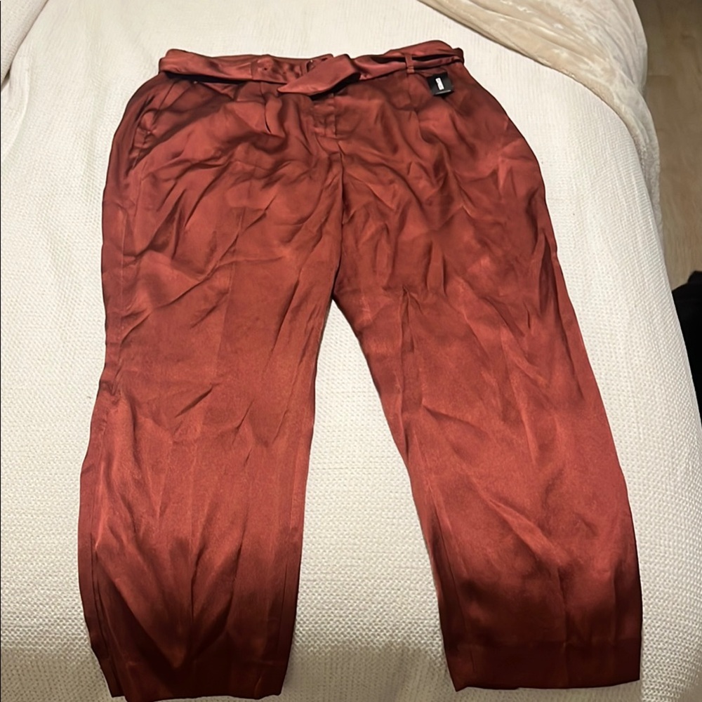 Express Rust Ankle Pants